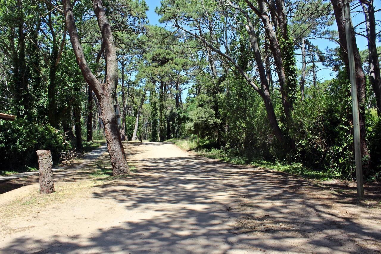 Ramma Camping Hostel Villa Gesell Zewnętrze zdjęcie